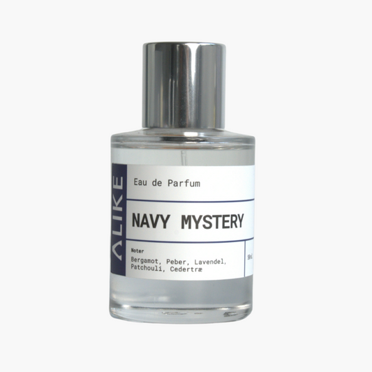 NAVY MYSTERY