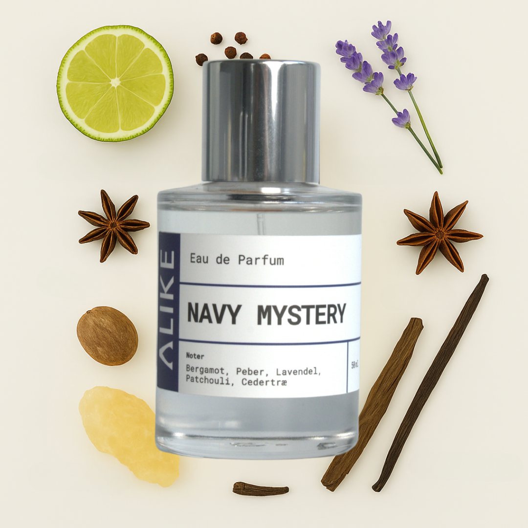 Navy Mystery